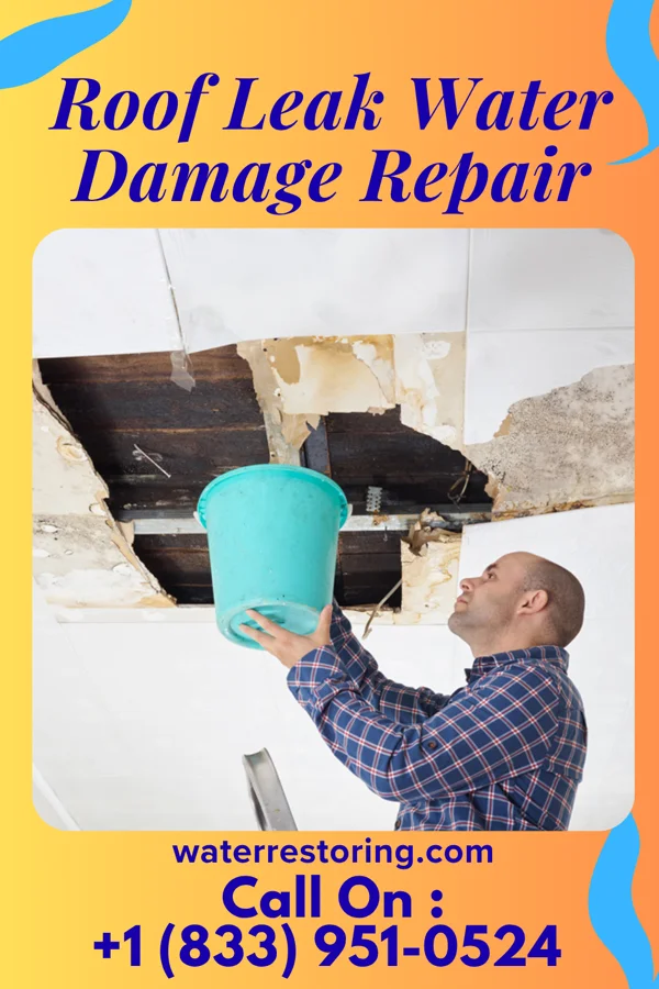 Roof Leak Water Damage Repair in Lilesville, NC