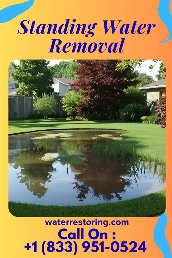 Standing Water Removal in Lilesville, NC